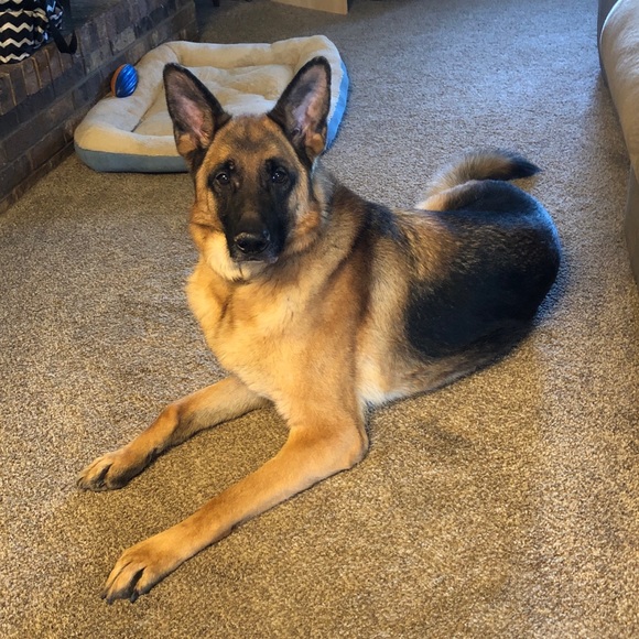 Meet your Posher, Debbie - Picture 8 of 8